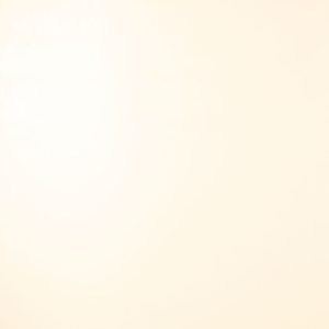 Placa Cristal de Varbono M125 (8mm)